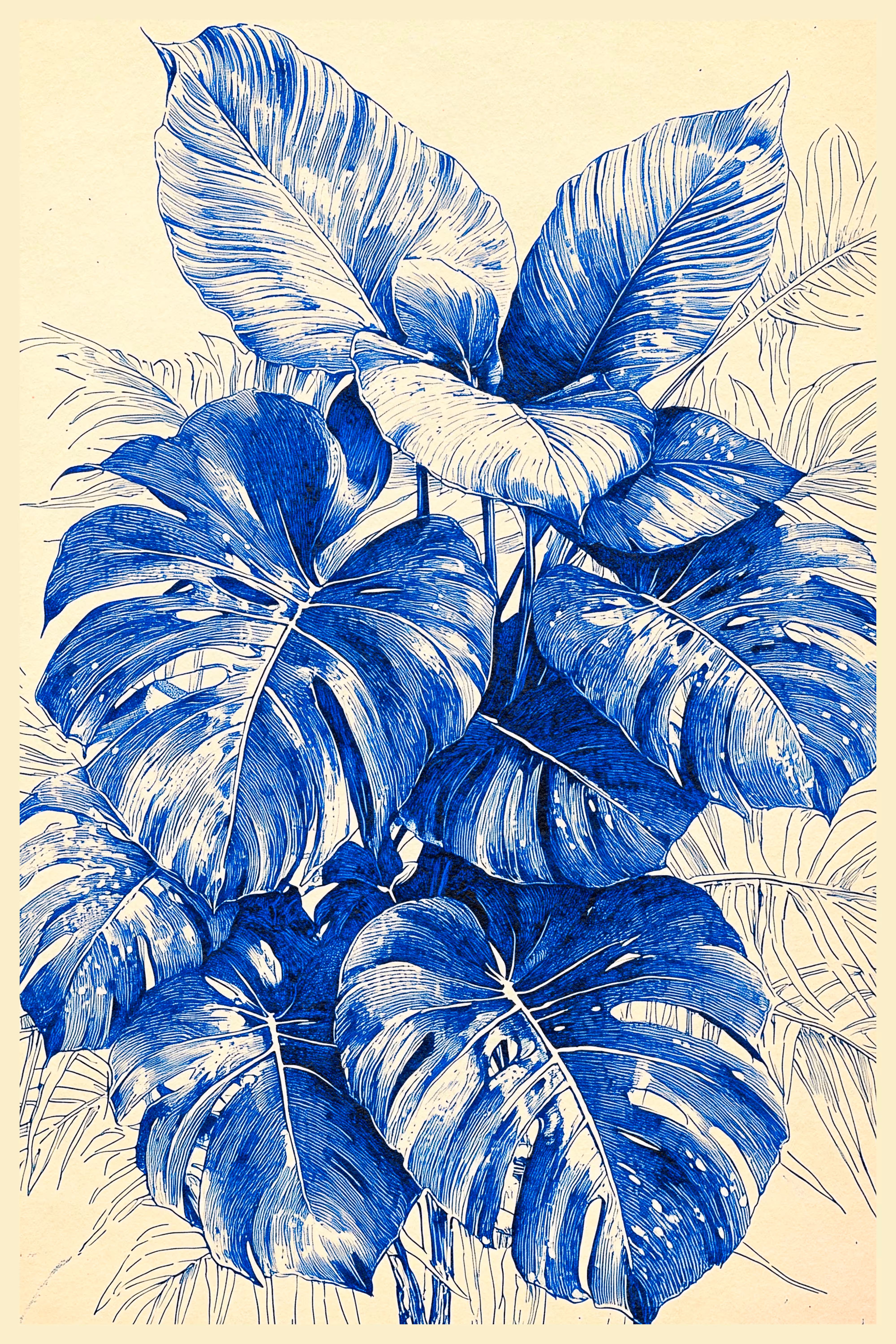Monstera Deliciosa