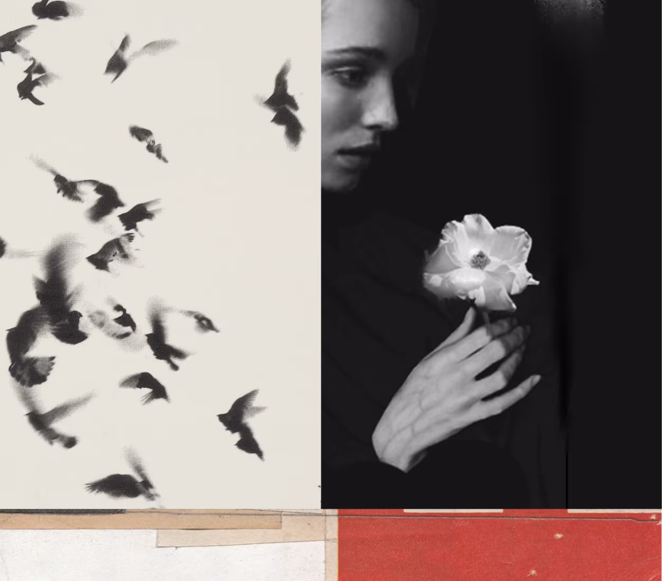 A Soft Thing in a Violent World