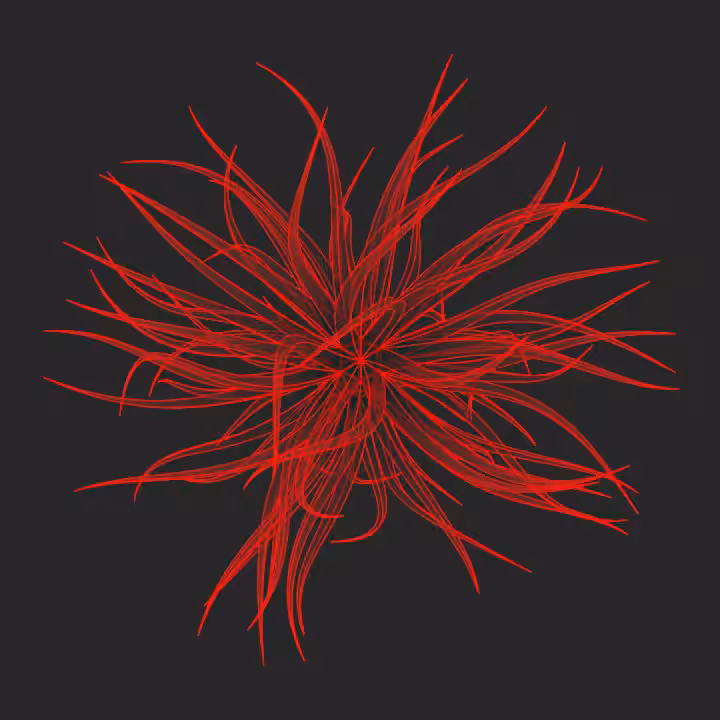 DoodleDeProgramming_20241016