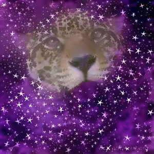 BigCatRescue Manny Jaguar Starstruck