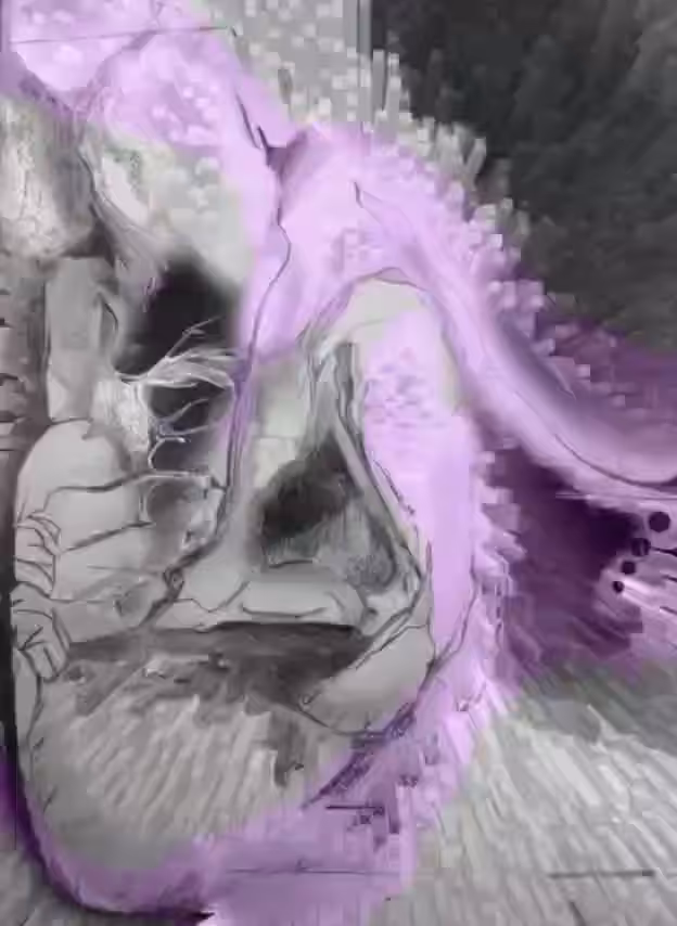 Contemporary human