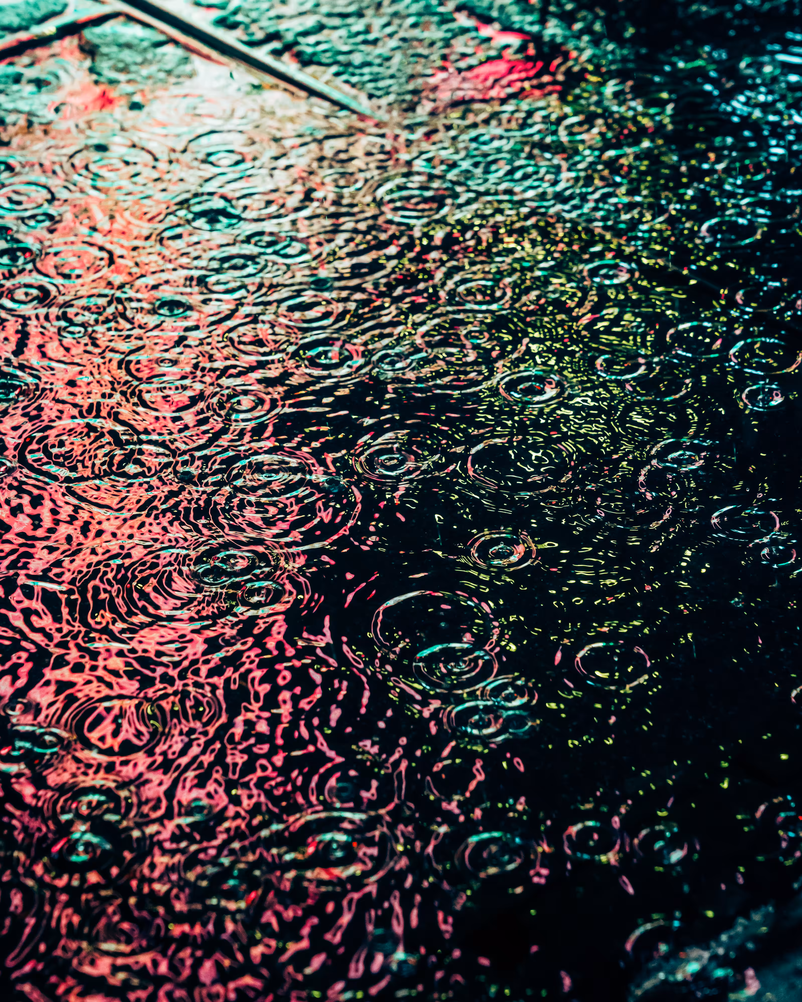 DRIP DROP: DRIP #826