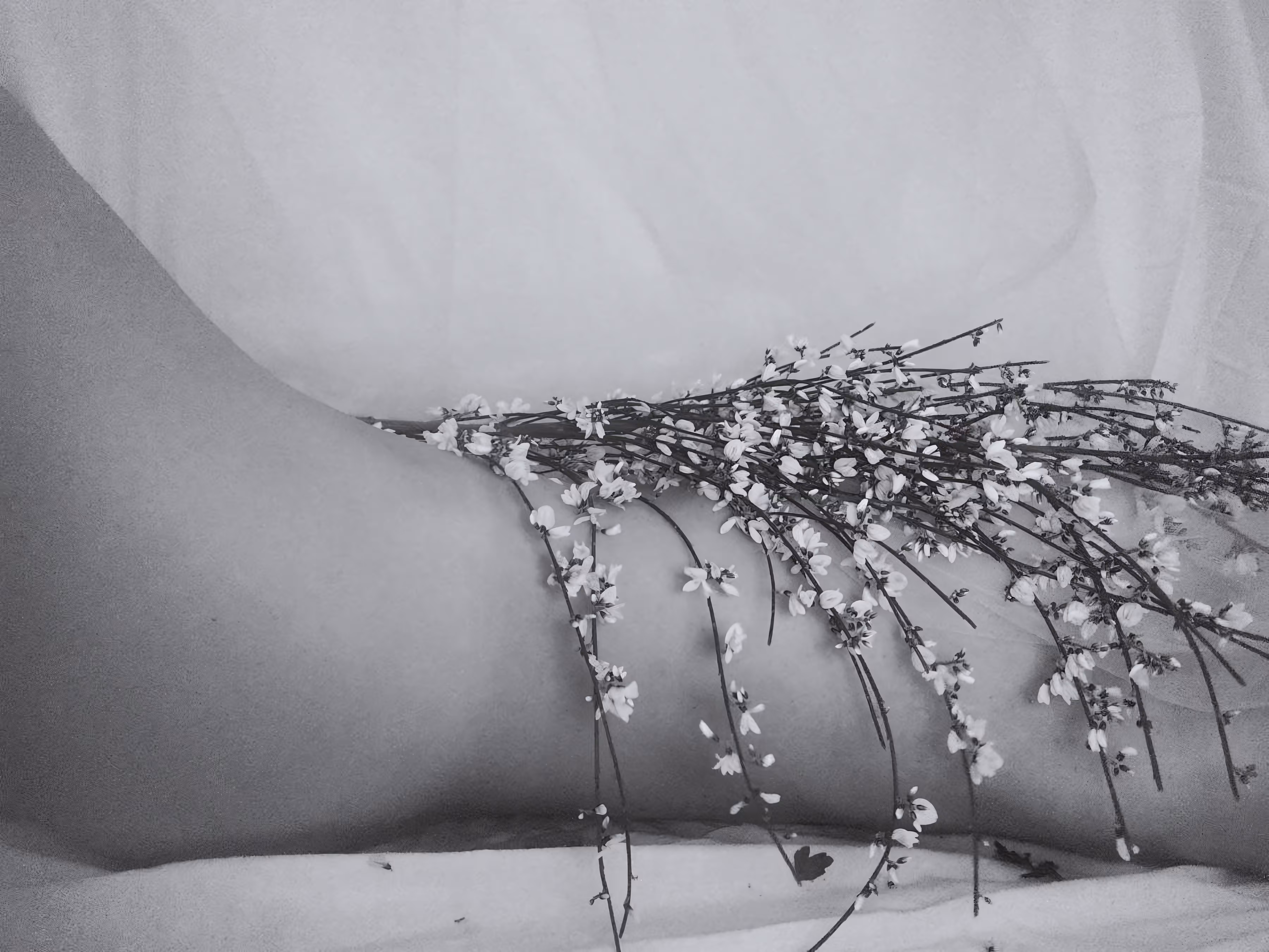 I dreamed of you 