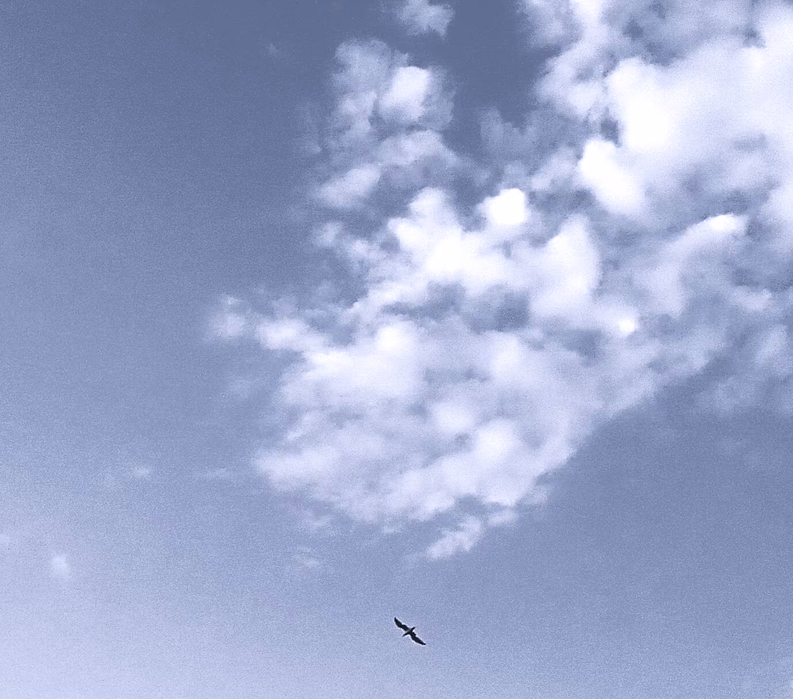 Flying under clouds