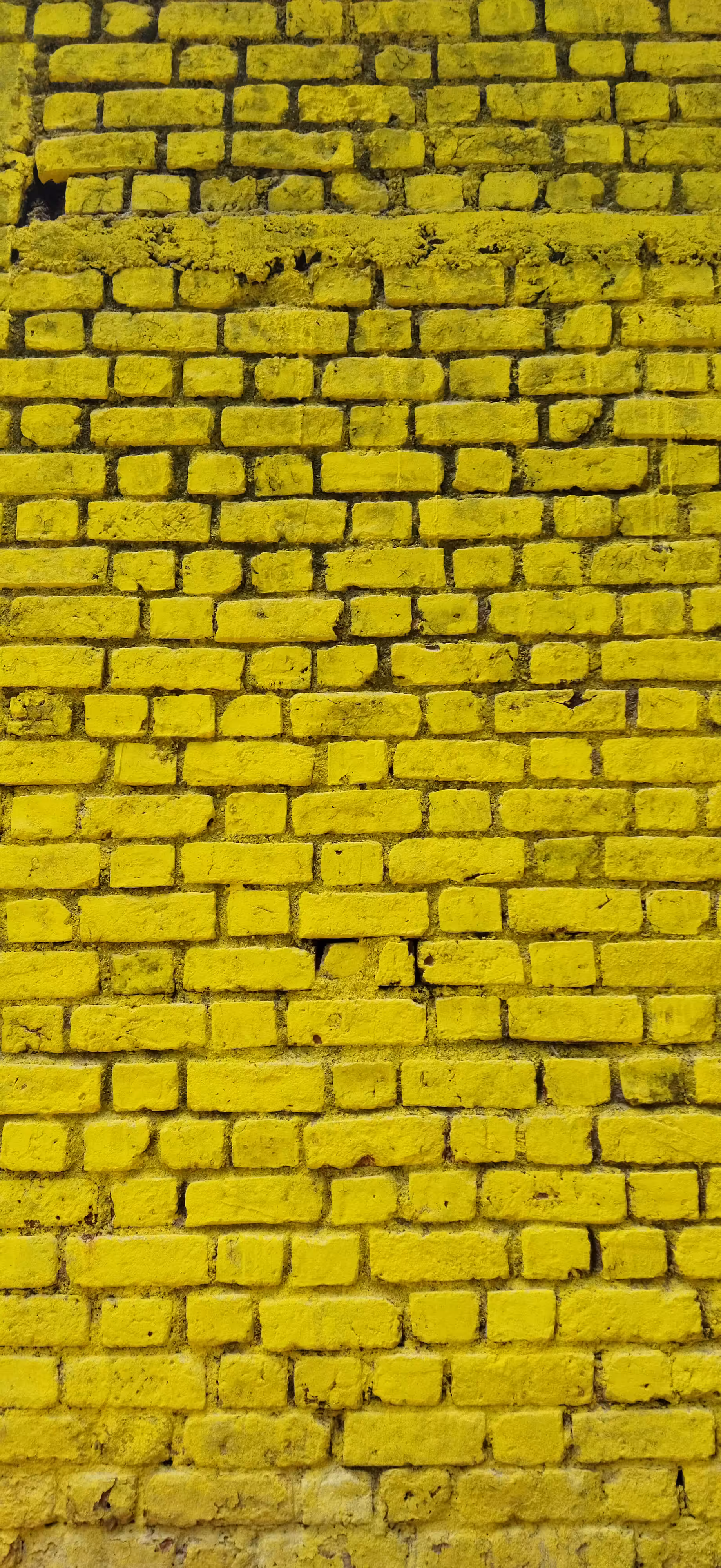 A Yellow Brick Wall