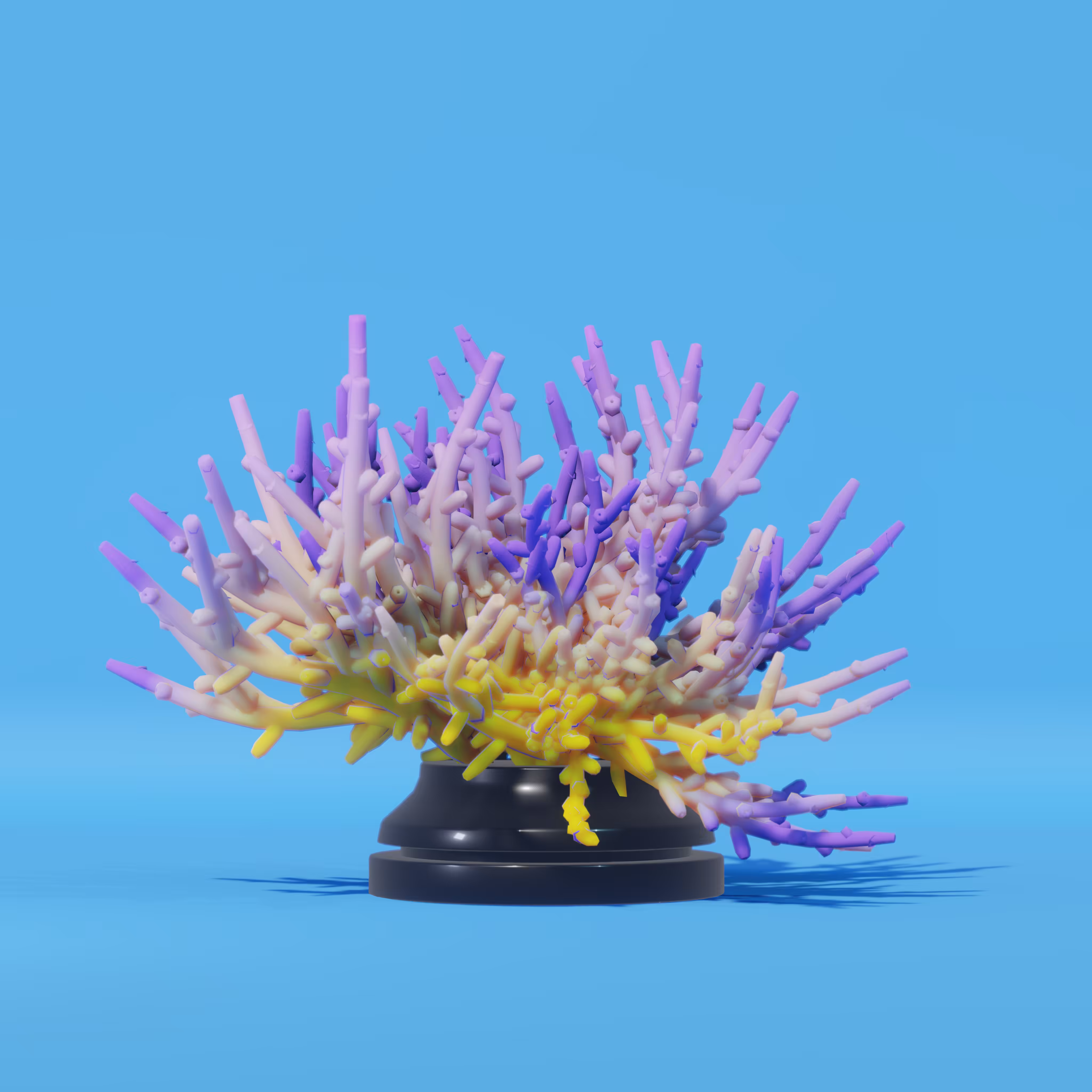 Acropora Sculpture - #01