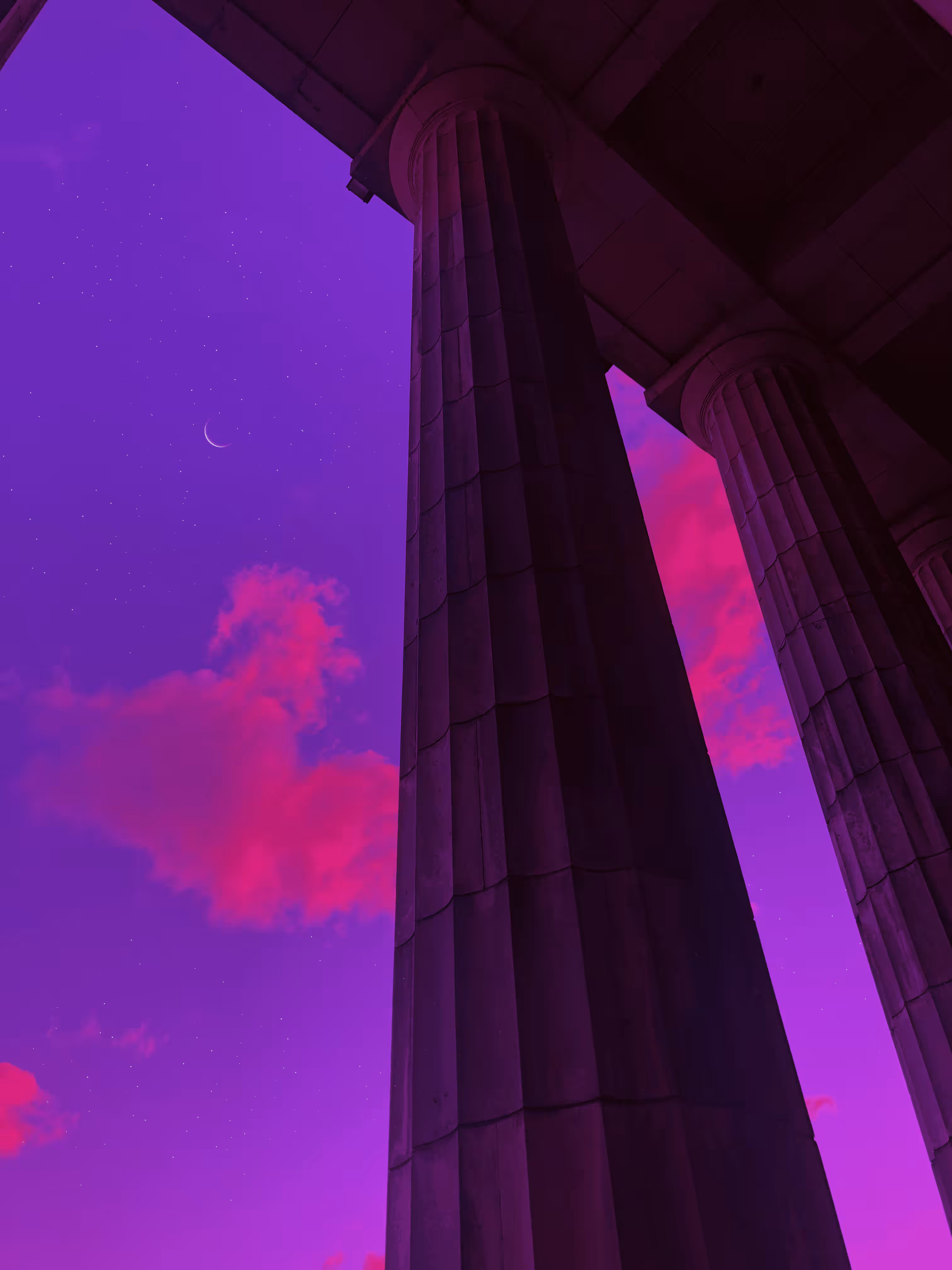Pink & Purple World #86