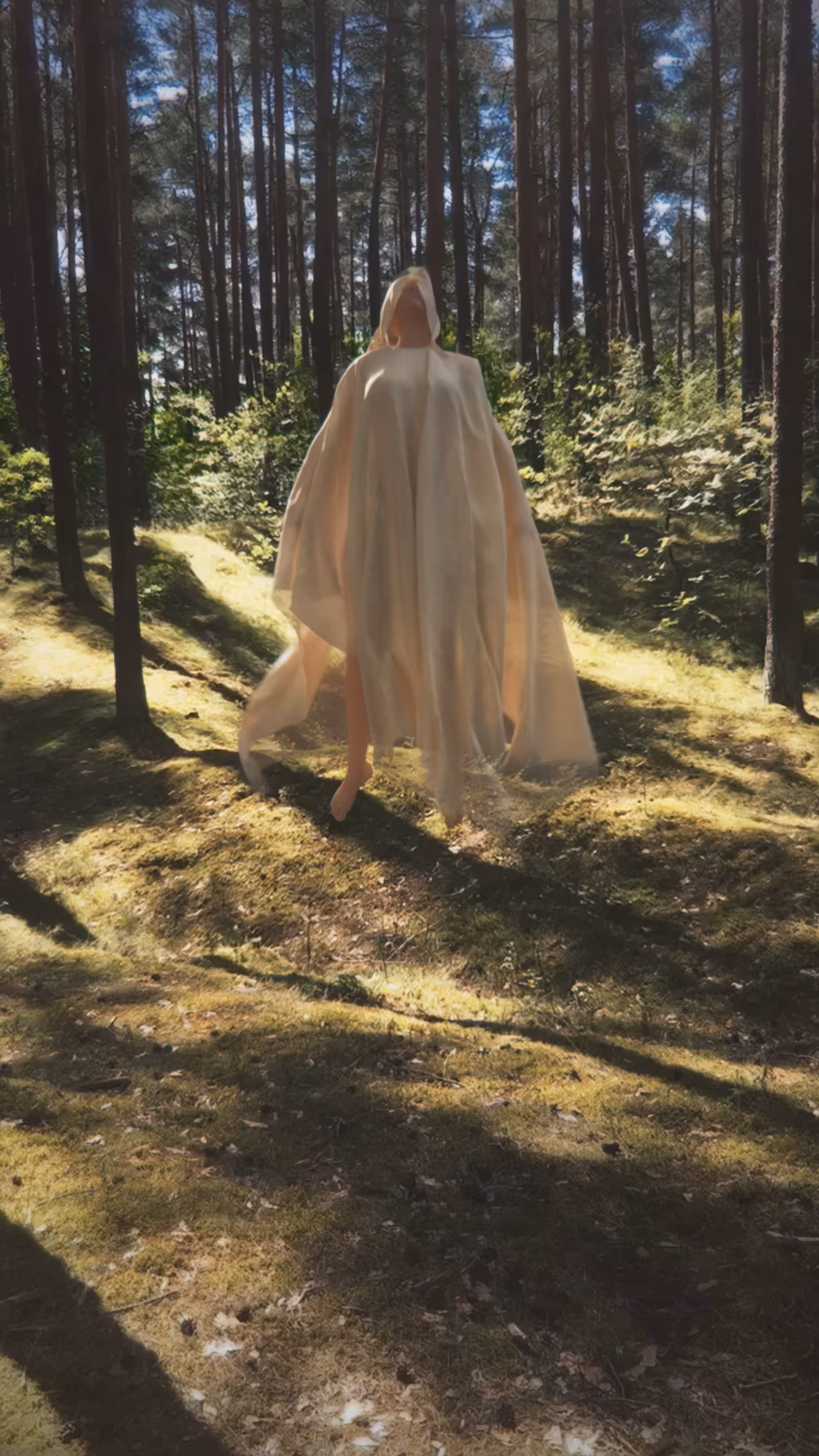 mystery woods