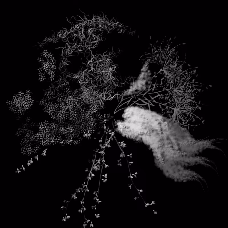 Botanical Ghosts #205