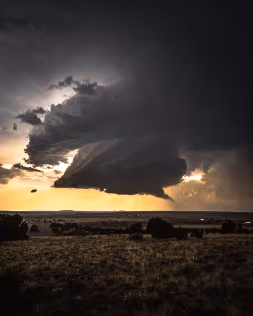 The Land of Enchantment 