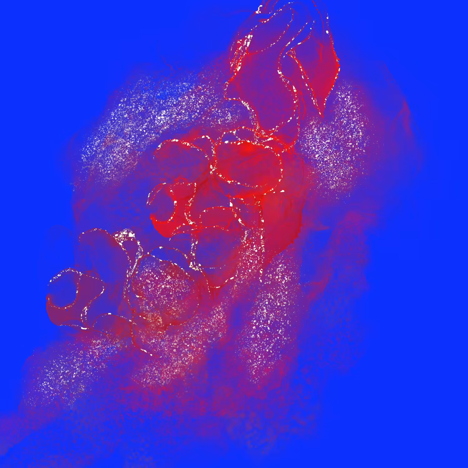 Flow Motion #12