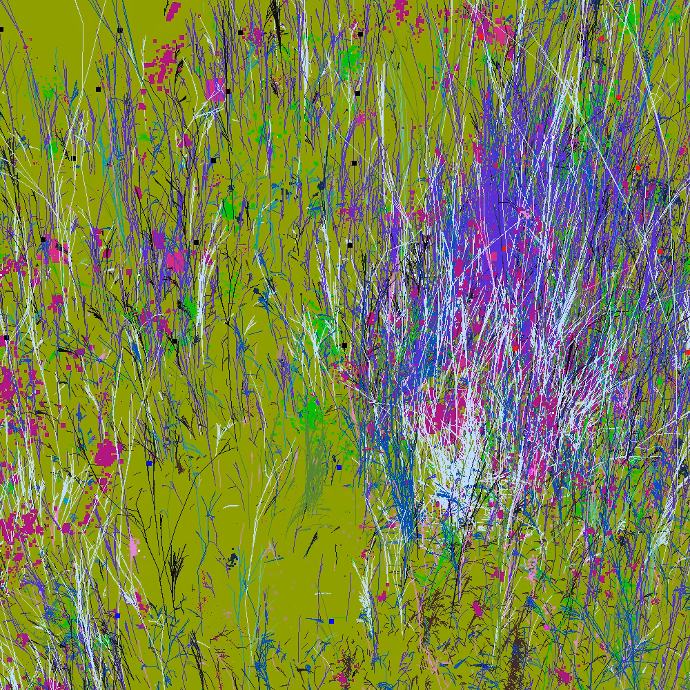 Infinite Garden: 57124 Flowers