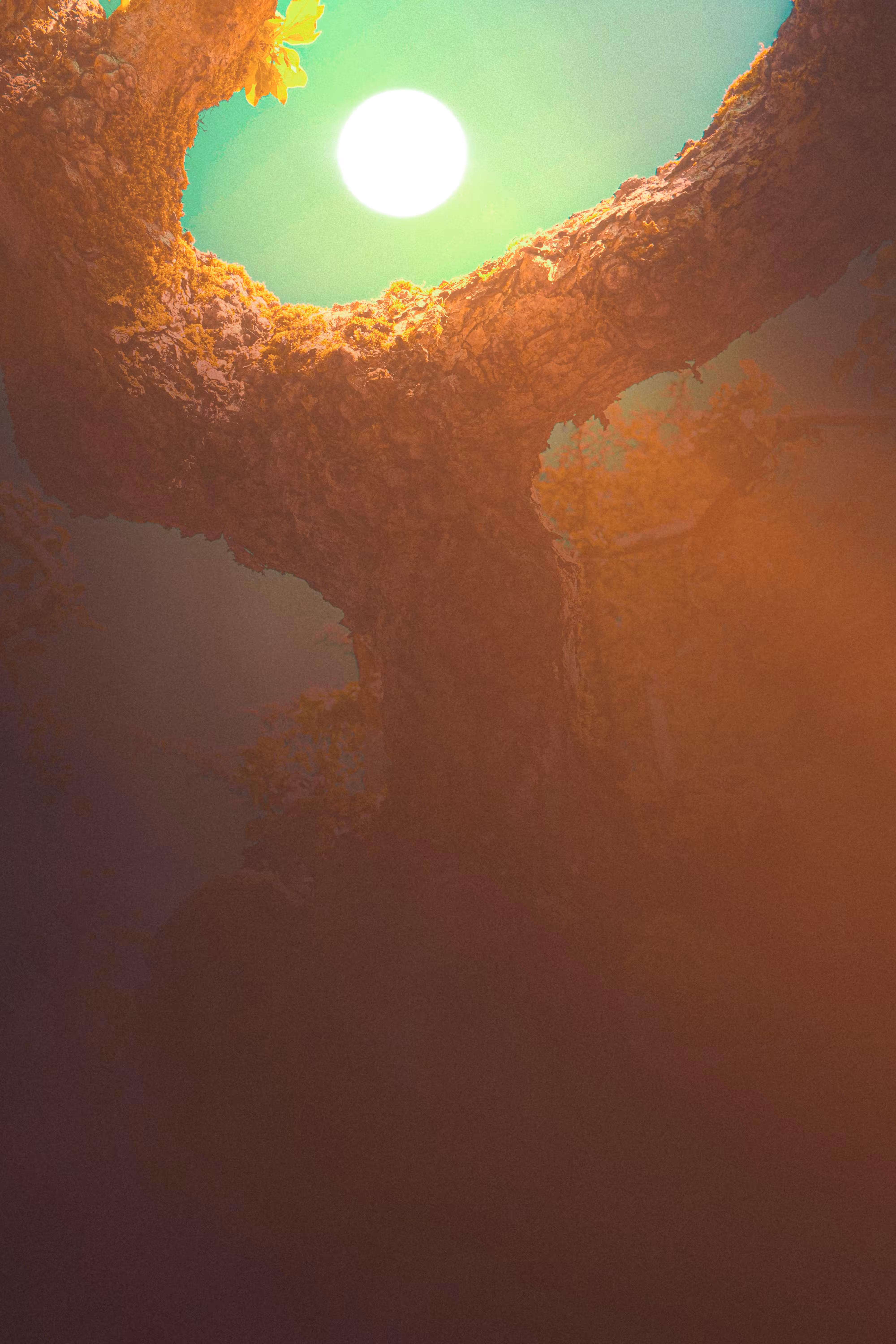 Light Of The New Dawn: The Beginning Of Hope
