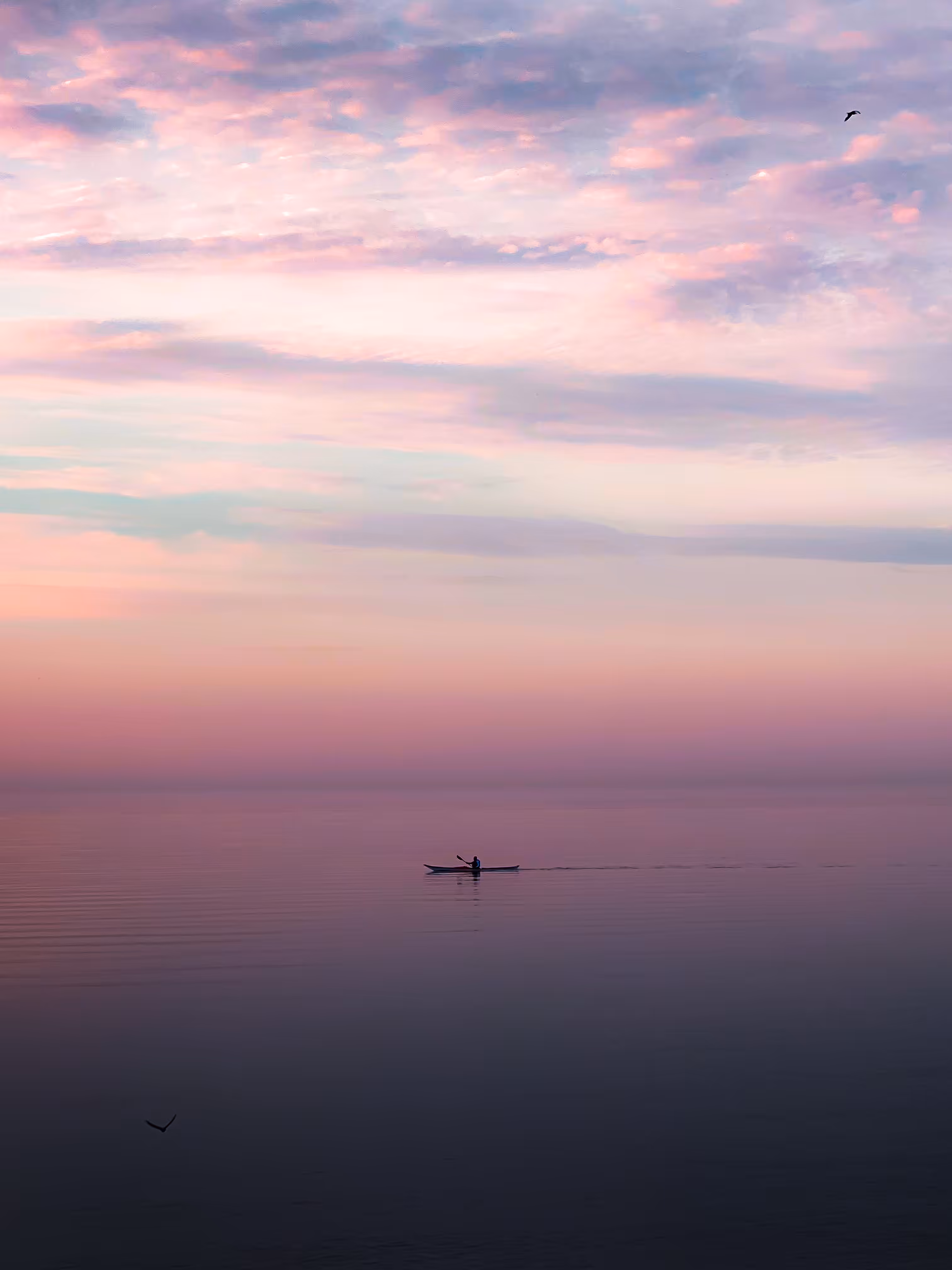 Serenity 