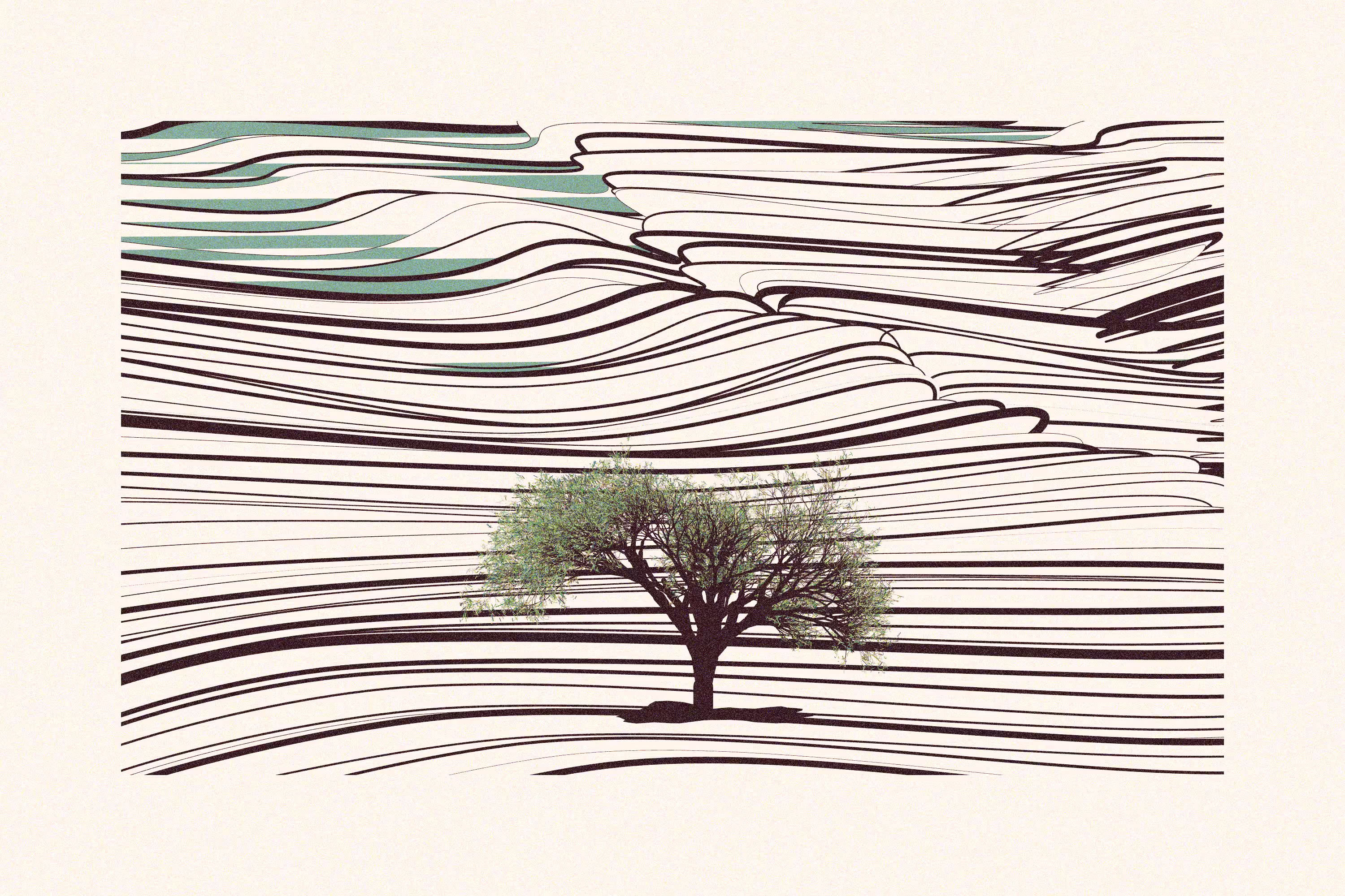 A tree in the distance