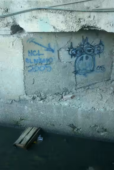 Macaco 2005 - super rare
