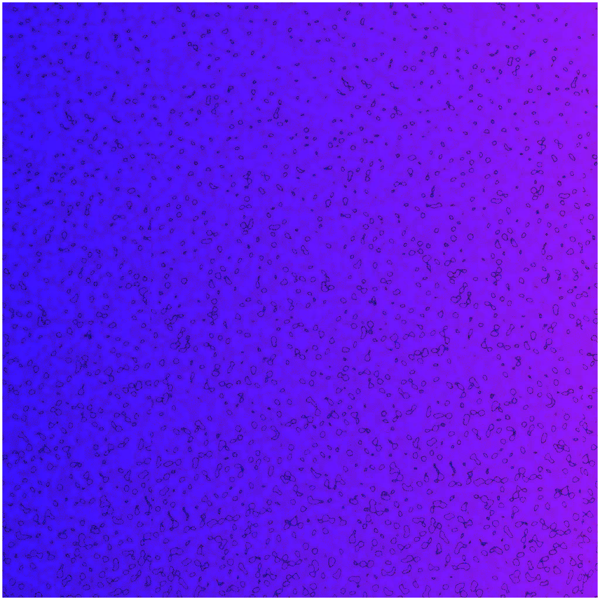Memories of A Harsh Noise Day #20