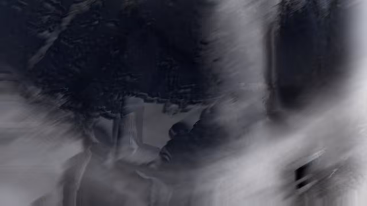 Дятлов 2