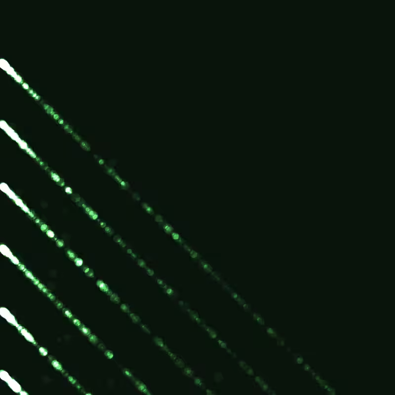 a contemplation of points #4