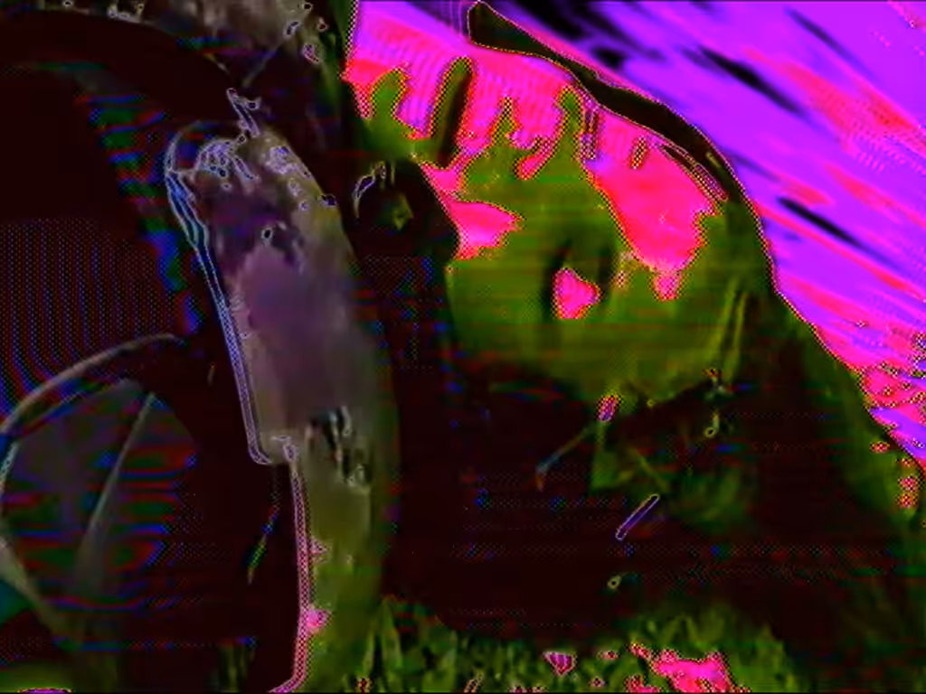 DON'T COME BACK ALIVE