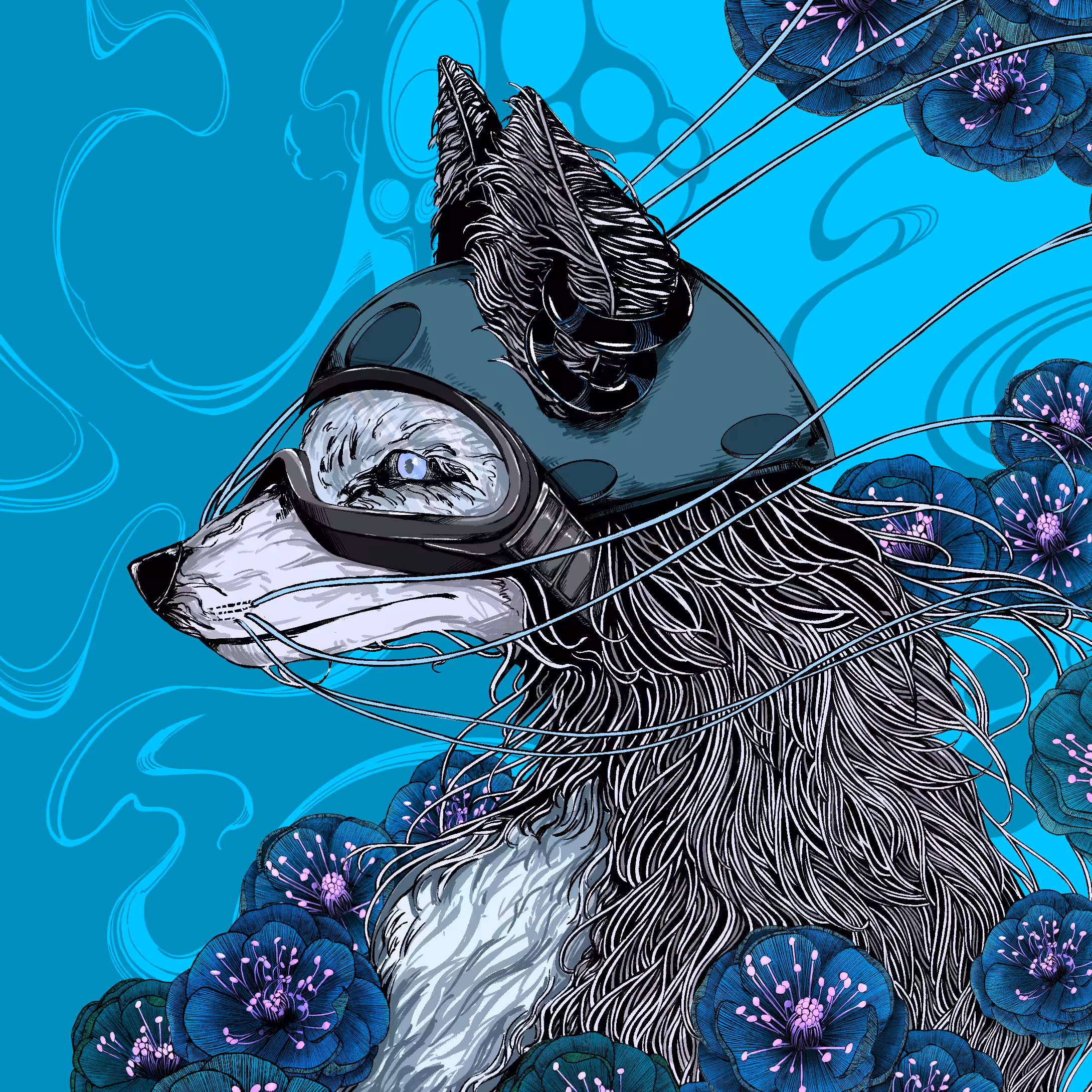 WAKA FOX