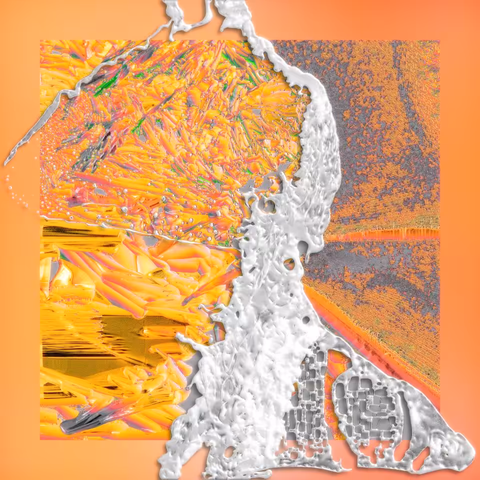 Bursts #13