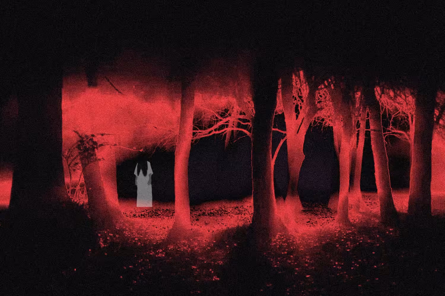 Creature in the woods