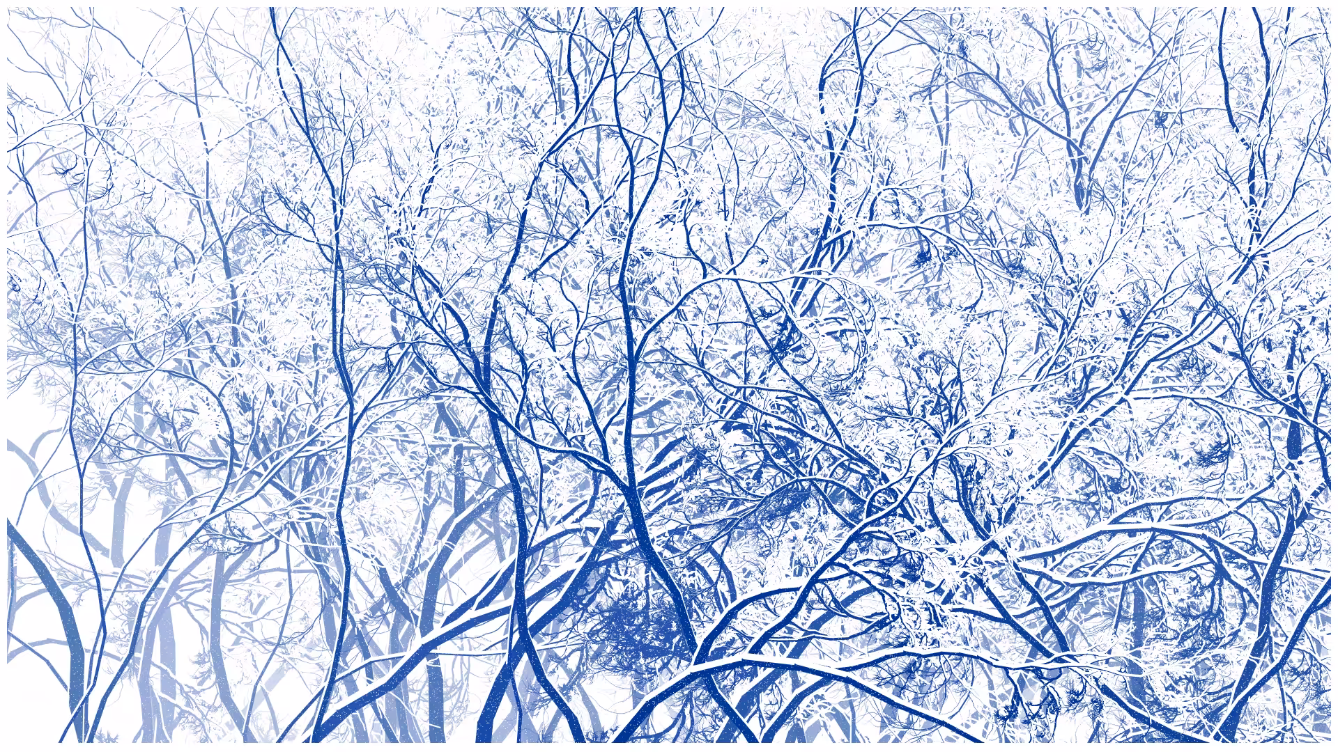 SCHNEEWALD #174