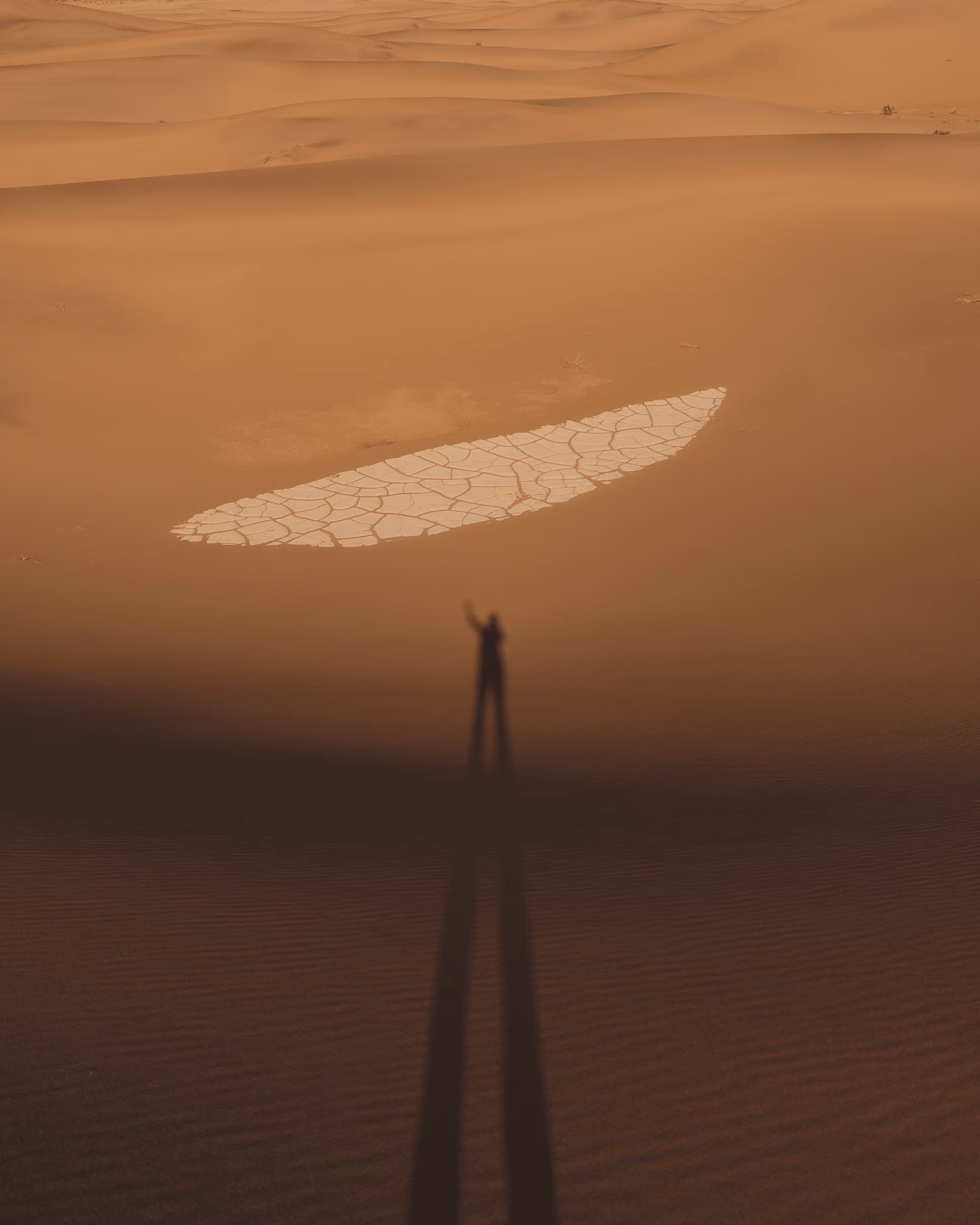 Dune: The Collection #17