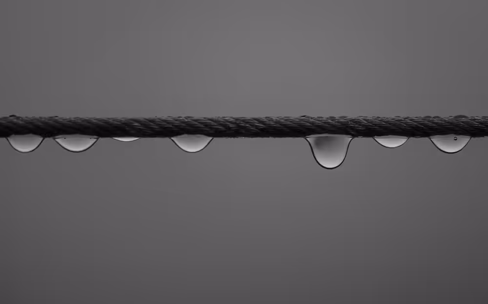 Tears in the rain