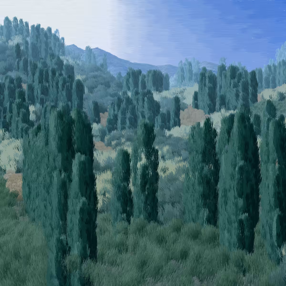 Provence #205