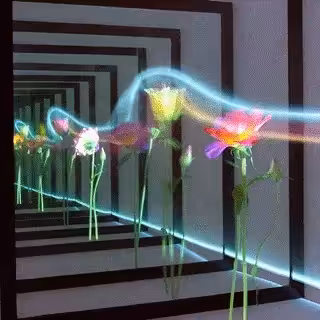 Reflections in Bloom