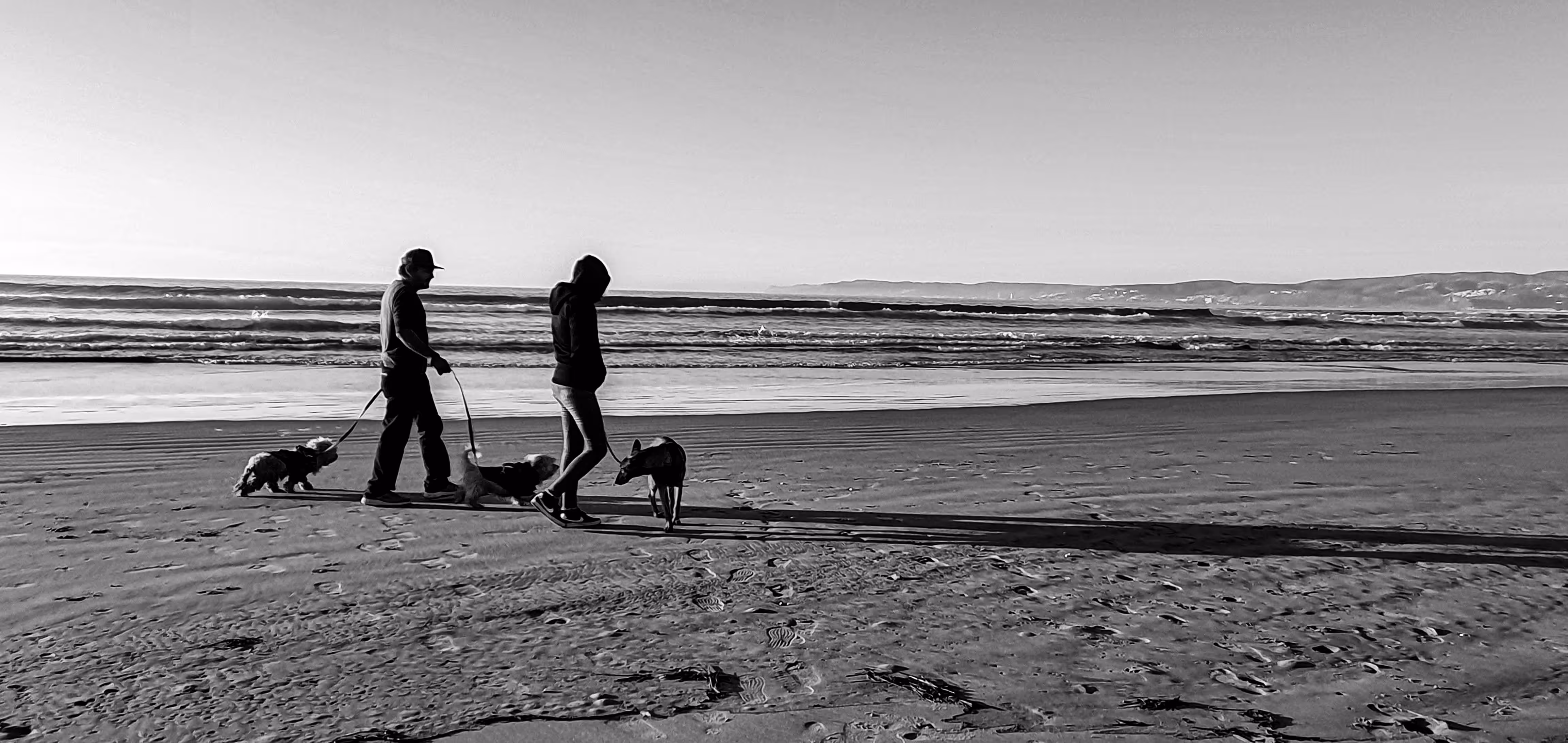 The Walk