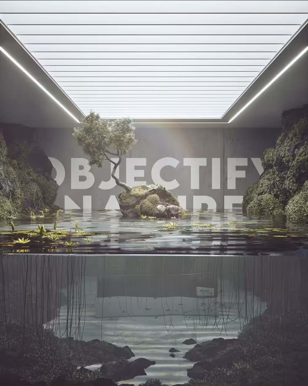 Nature as an Object 03/03