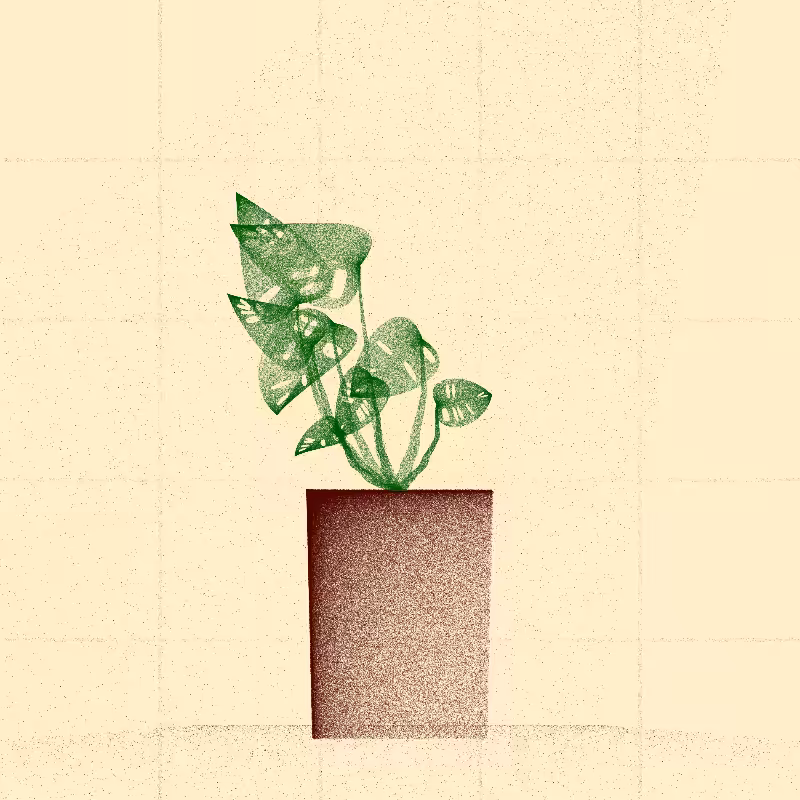 🌱 Potted & Printed #581