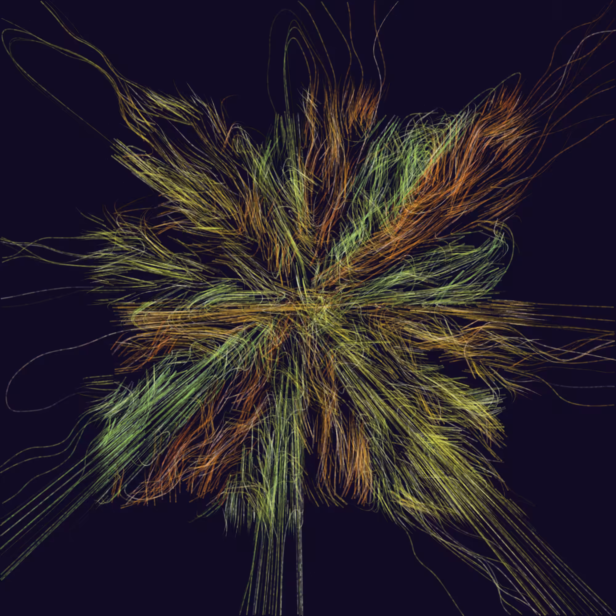 Adherence #120