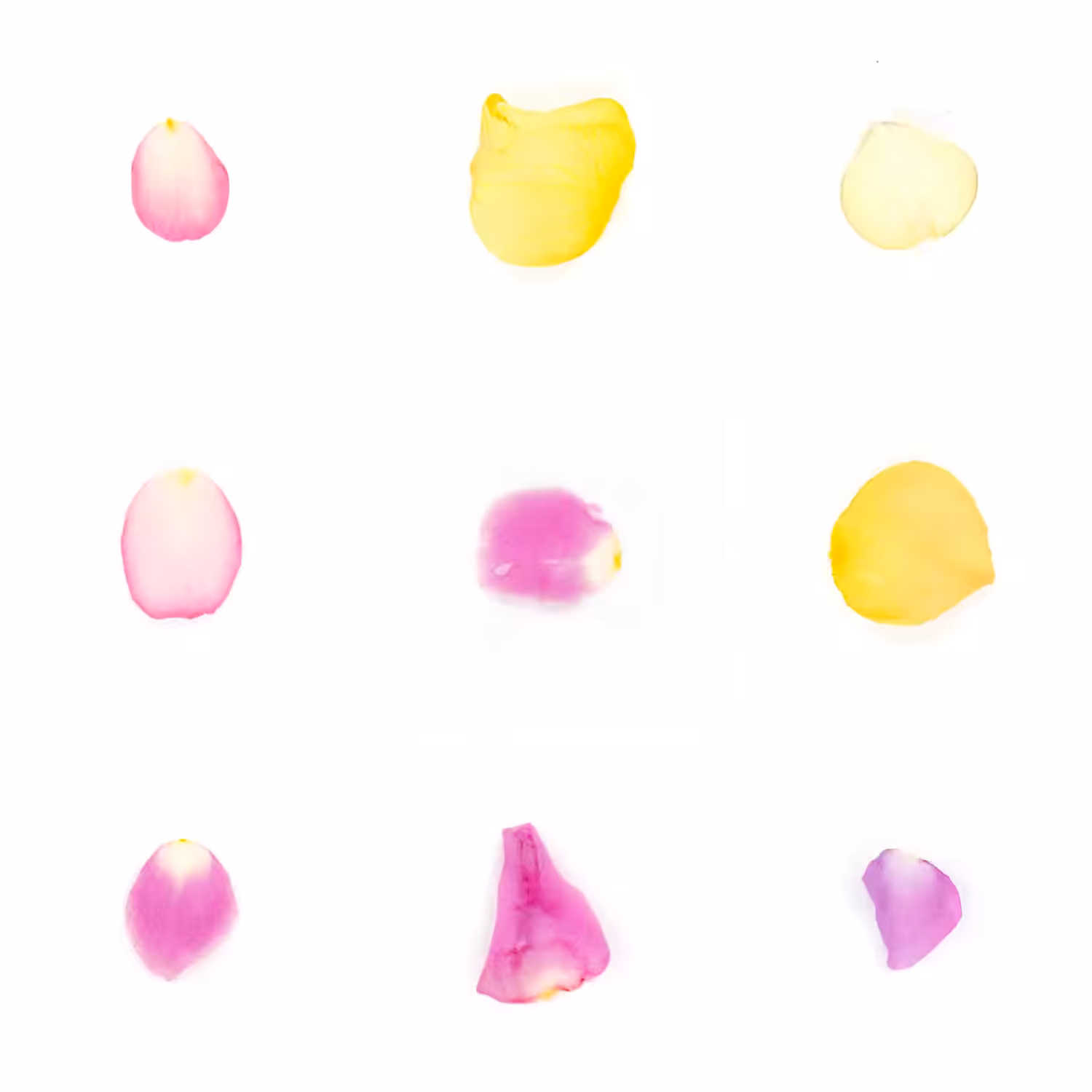 Infinite Petals 3x3#3680