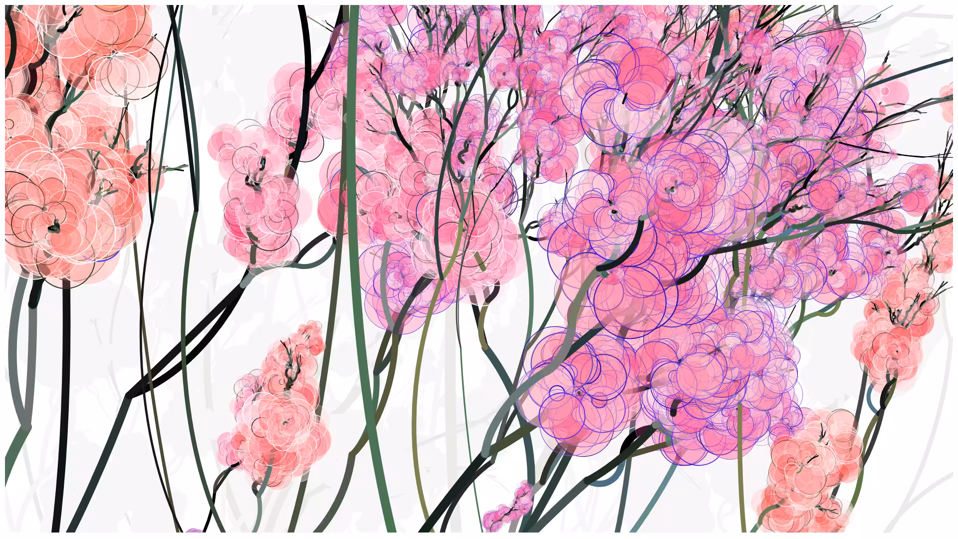 CODE-BLOSSOM #80