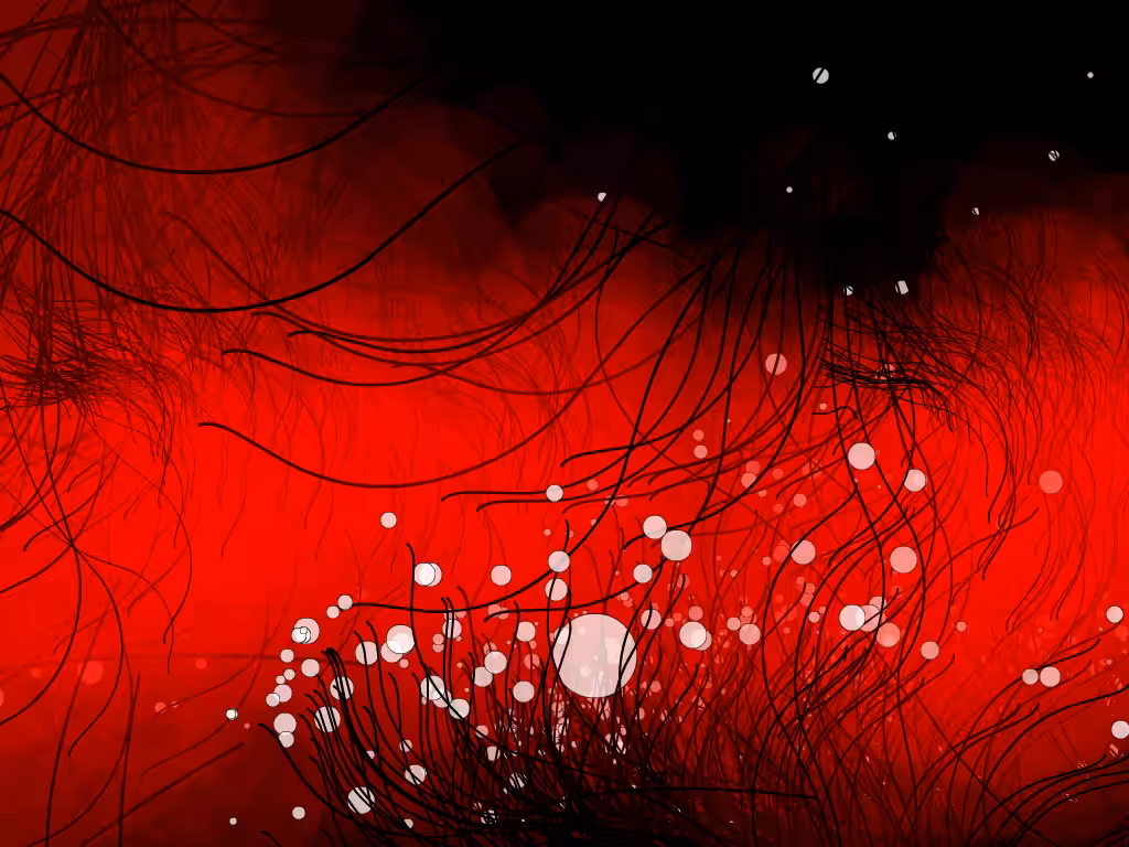 LVS_06_01