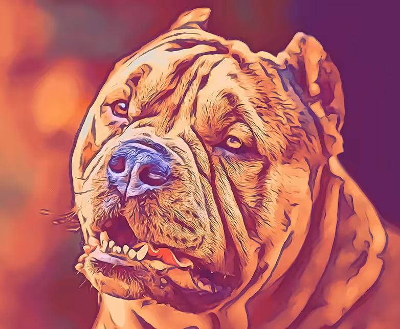 King kovu
