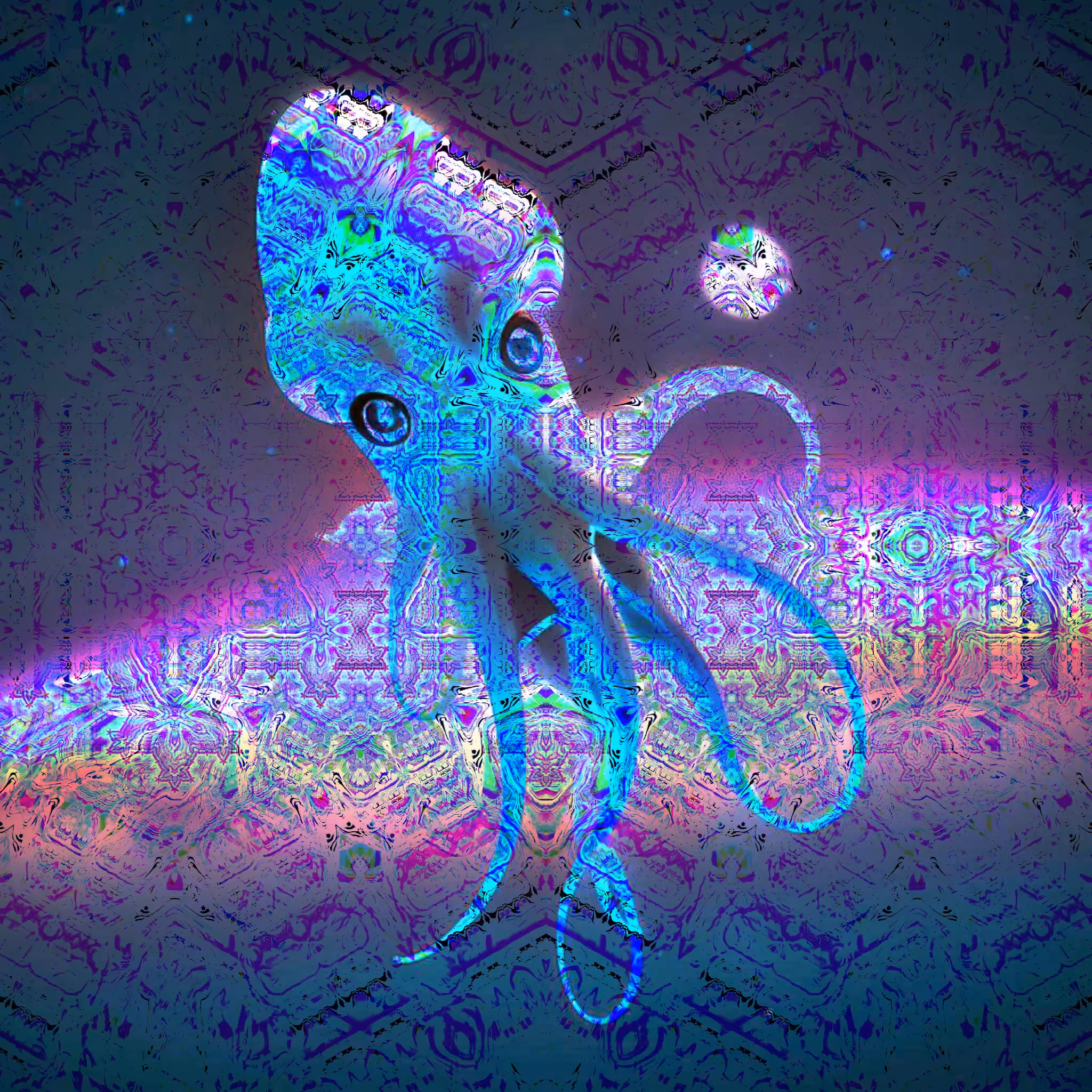 SPace Squid (zara)