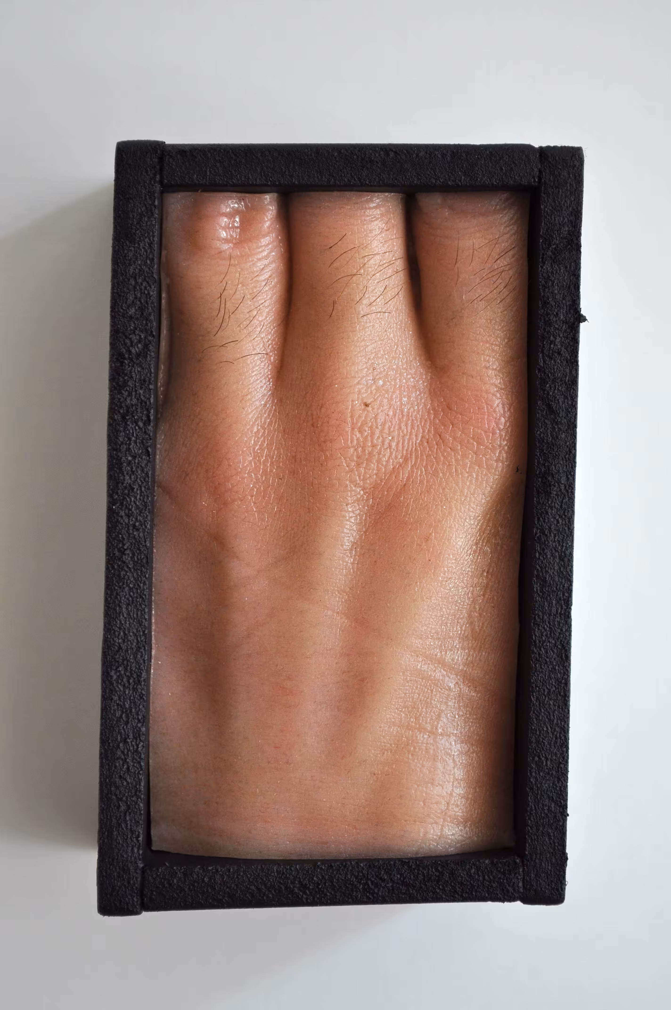 Encapsulated Flesh 01