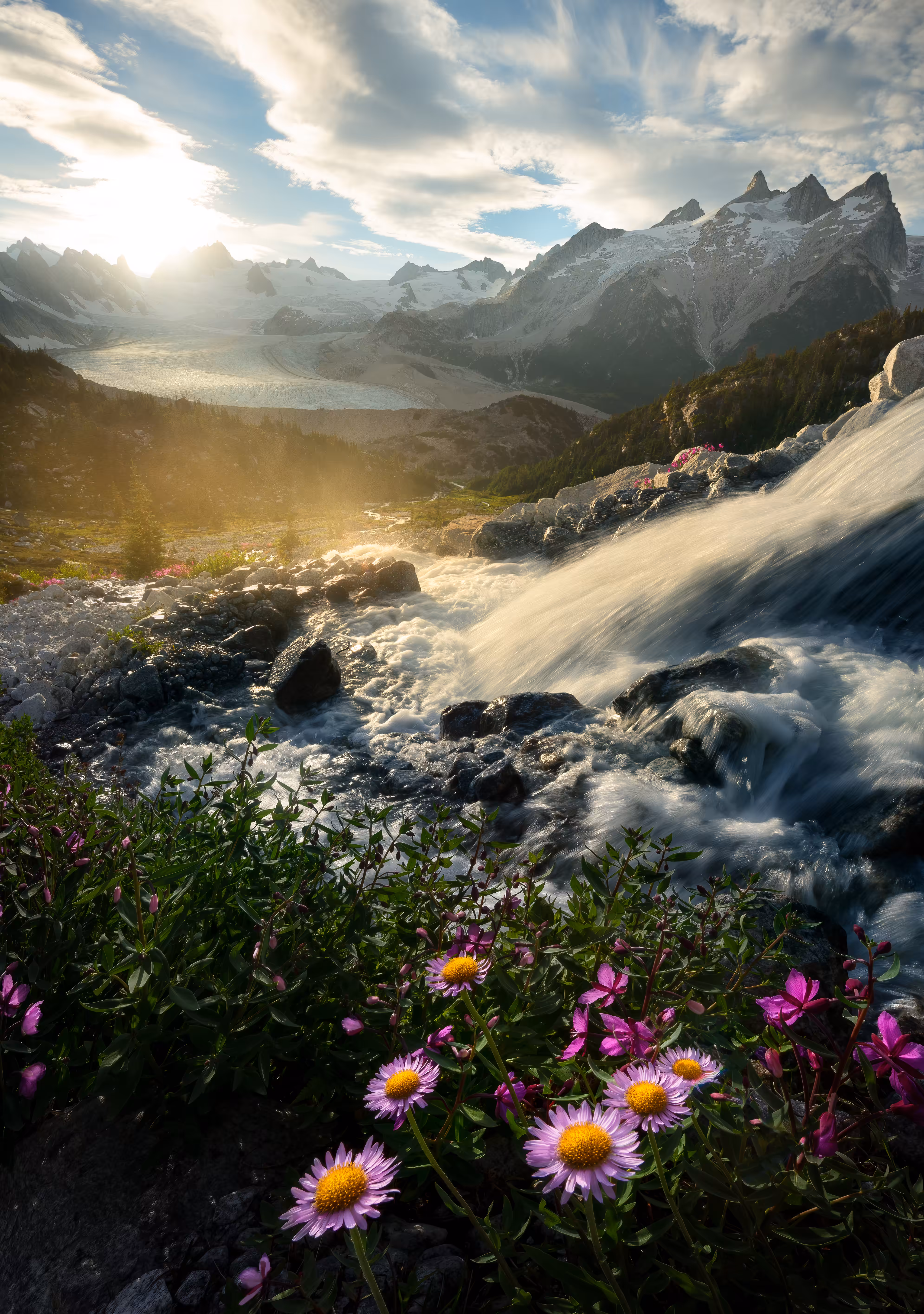 Dreamland