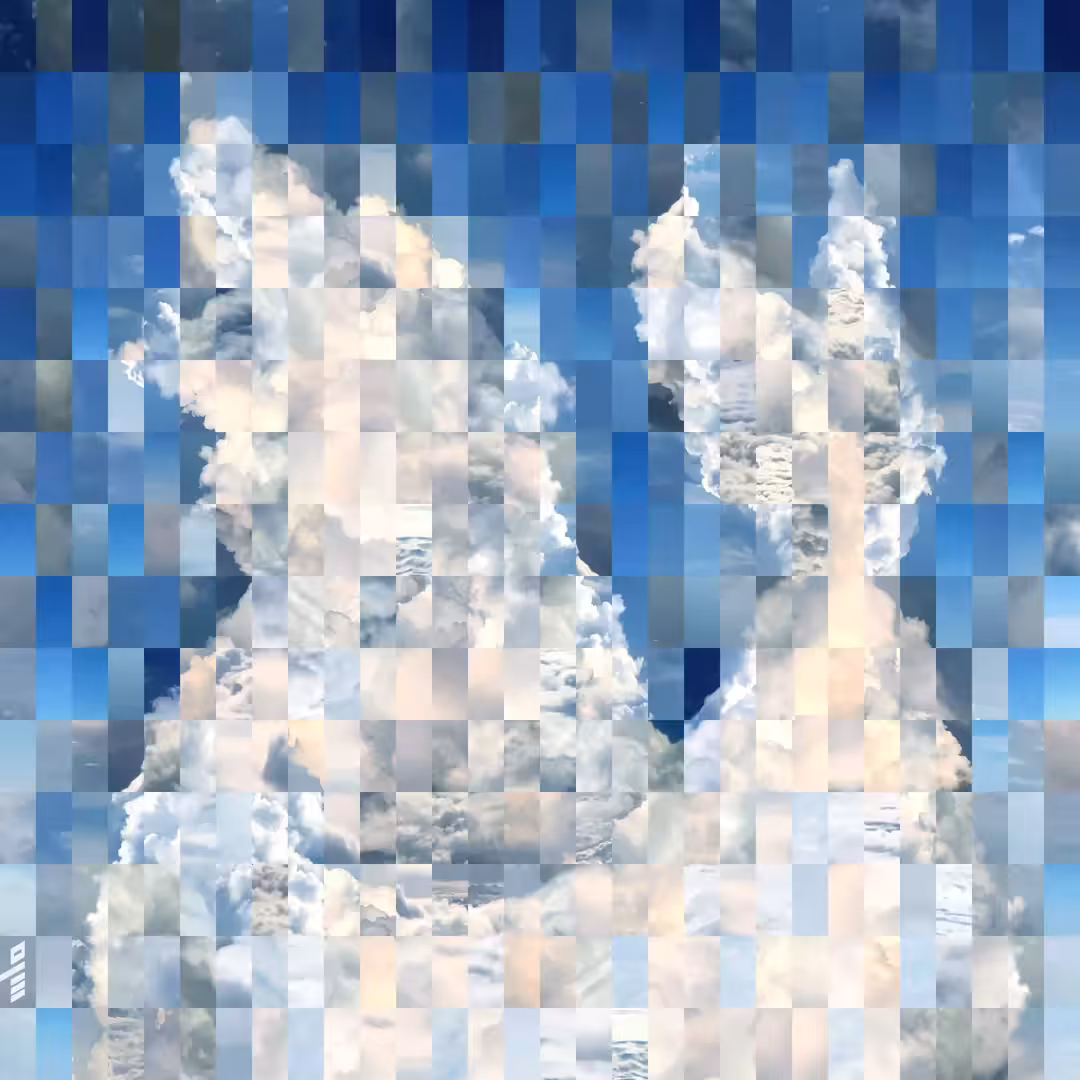 Lurking BearWhale
