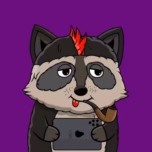 Charming Raccoons: Raccoon #6