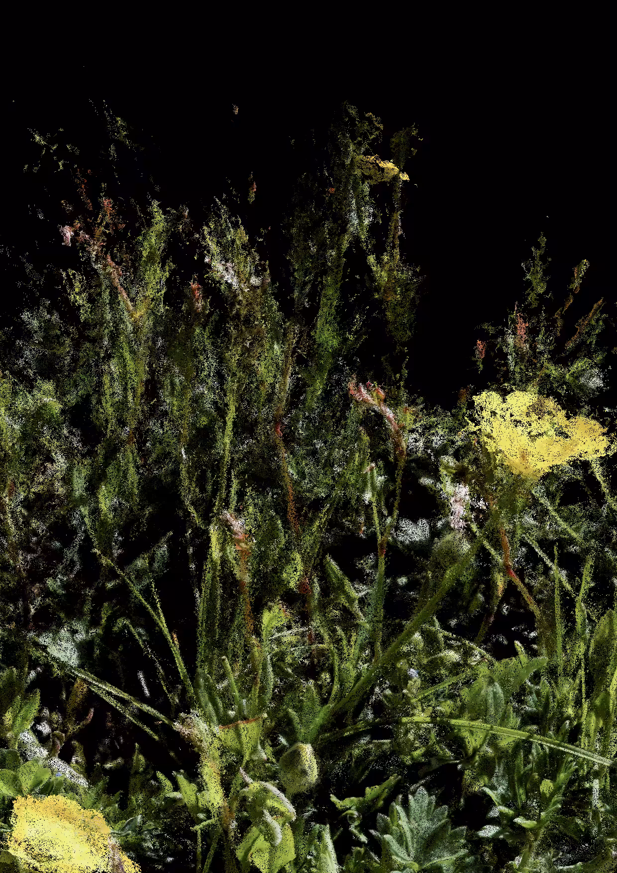Overgrowth 0162