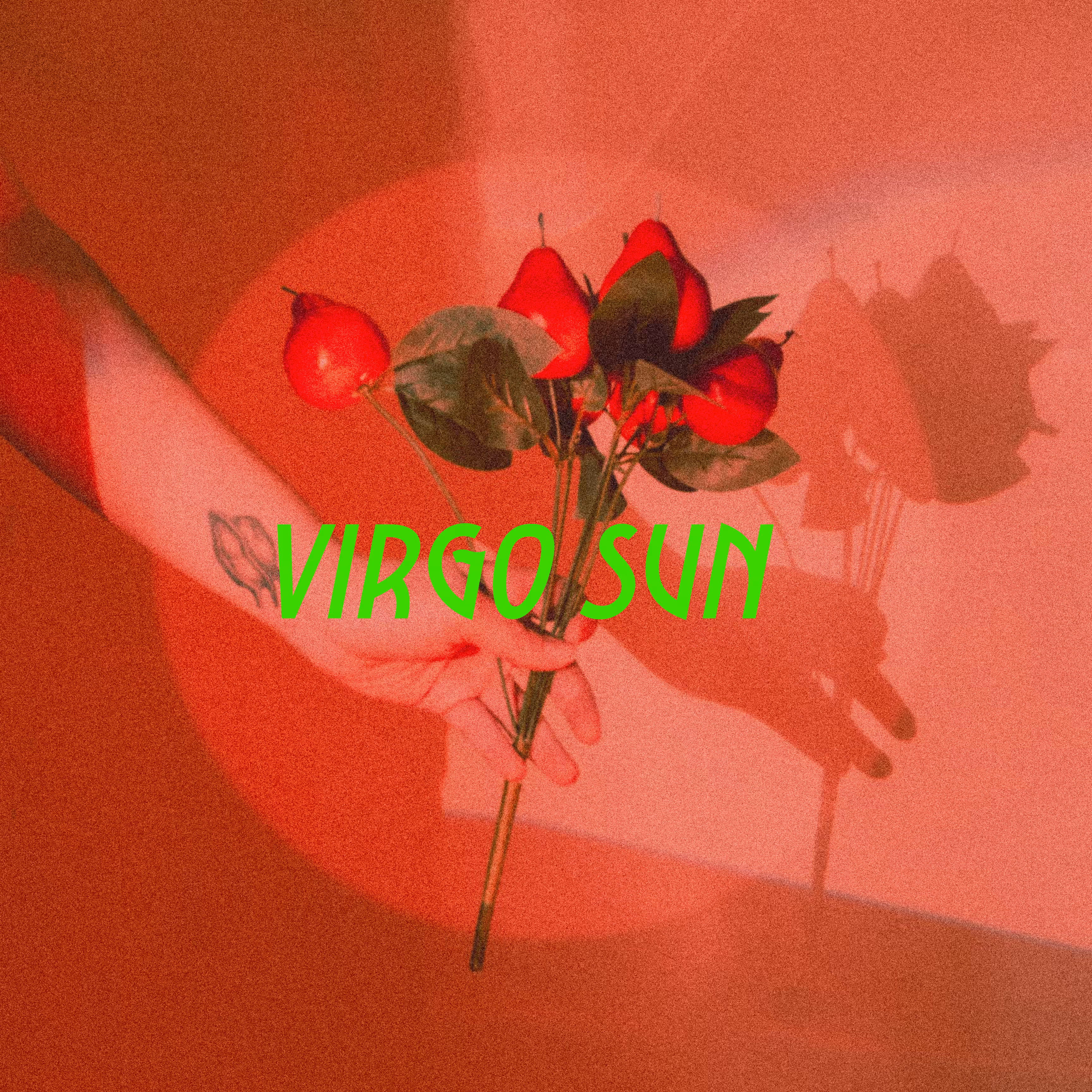 virgo sun