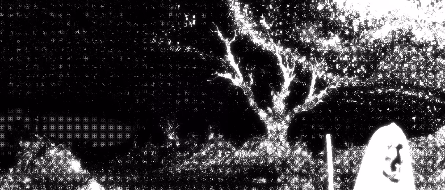 The Tree and the Wayfarer