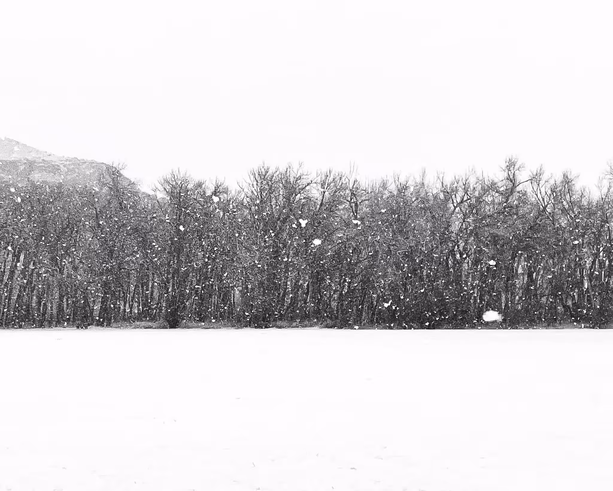 Snow Cover