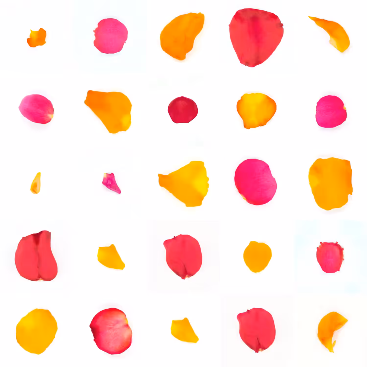 Infinite Petals 5x5#20792